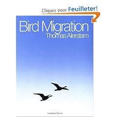 Bird Migration