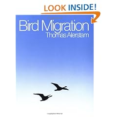 Bird Migration