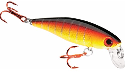 Dynamic Lures Trout Fishing Lure | Multiple BB Chamber Inside | (2) - Size 10 Treble Hooks | For Bass, Trout, Walleye, Carp | Count 1 | (Fire Craw, HD Trout 2.25 Inch)