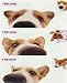 THE DOG Artlist - Peek-a-boo Welsh Corgi Stickers