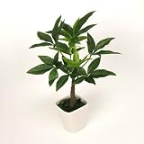 光触媒 アートフラワー パキラ 観葉植物 インテリア グリーン 造花 HIKARI