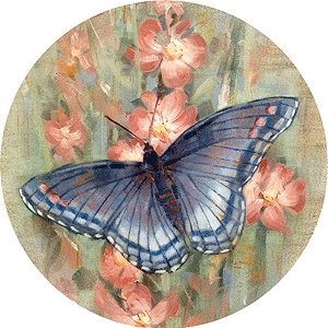 THIRSTYSTONE COASTERS GARDEN ACCENTS - BUTTERFLY GARDEN