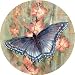 THIRSTYSTONE COASTERS GARDEN ACCENTS - BUTTERFLY GARDEN