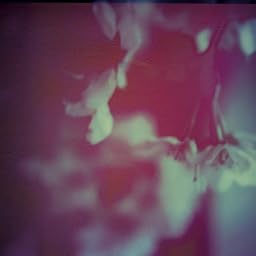 Cherry trees(初回受注限定生産)(DVD付)