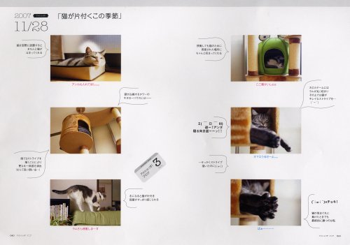 Cover image : アメショっす！マニア