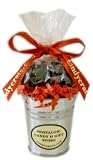 Small Coal Filled Tin Bucket