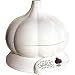 Kitchen & Housewares : Roasted Garlic Express - White