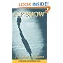 The Sleep of Reason (A strangers & brothers novel)