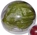 Kitchen & Housewares : Lettuce and Melon Container
