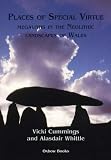 Places of Special Virtue: Megaliths in the Neolithic Landscapes of Wales (Cardiff Studies in Archaeology)