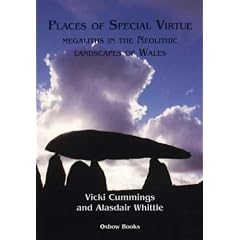 Places of Special Virtue: Megaliths in the Neolithic Landscapes of Wales (Cardiff Studies of Archelogy)