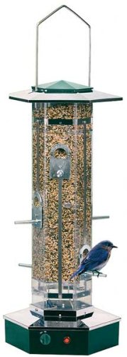 Childrens Toyshop  Outdoor Living : Contech SQRTSCTR002 Squirrel Scatter Bird Feeder