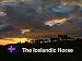 The Icelandic Horse