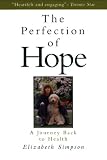 The Perfection of Hope: A Soul Transformed by Critical Illness