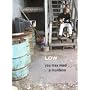 Low - You May Need a Murderer