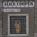 The Life & Crimes of Alice Cooper