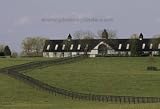 Linda Shier Tranquil Horse Barn 13X19