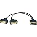 Tripp Lite P564-001 DVI-D Y Cable, DVI-D M/2xF - 1ft