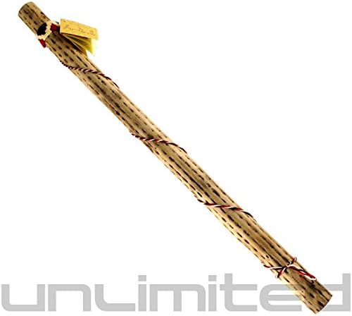 The "Drought-Ender" Cactus Rainstick