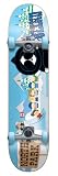 Blind Northpark Full Size Complete Skateboard (7.7 Inches Wide)