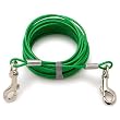 PETCO Dog Tie-Out Cable Medium