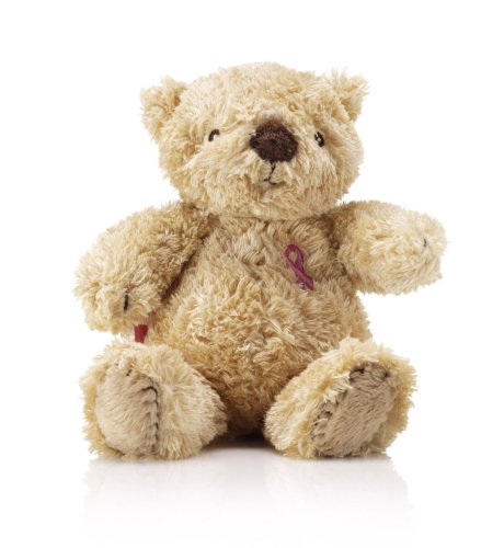 Breakthrough Breast Cancer Spencer Bear