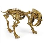 Dinosaur Dig - Sabre Tooth Tiger Skeleton
