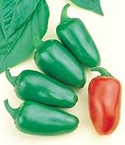 Jalapa Hot Pepper 25 Seeds / Seed - Early Jalepeno - B000UJSK4Y