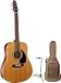Seagull Coastline S6 Cedar GT Acoustic with Free Seagull Gig Bag and Guitar Stand!