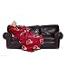 Washington Redskins Adult Comfy Throw Blanket with Sleeves