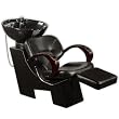 Cambridge Shampoo Unit / Backwash Unit with Vacuum-Breaker Kit from SalonSmart (SHIPS FREE!)