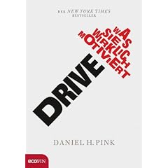 Drive: Was Sie wirklich motiviert