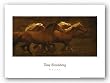 Tribe by Tony Stromberg 10.5"x22" Art Print Poster