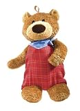 Teddy Bear Hot Water Bottle - Made in Germany