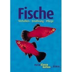 Fische im Aquarium. Heimtiere halten.