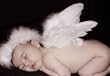 Fashionwings(TM) Feather wings and Halo for Newborn Babies, 0-6 Month Infants & Bonus photo frame set