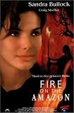 Fire on the Amazon