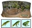 Planet Frog Live Habitat