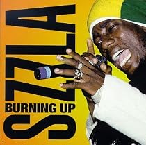 Burning Up