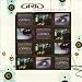 The Grid-Music for Dancing