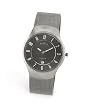 Skagen Men's Titanium Mesh Watch #530LTTM