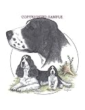 Springer Spaniel - Trio Image by Cindy Farmer