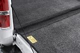 Bedrug BR-Q09SCSG-K Bedrug for 09-C Ford...