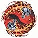 Skull/Flames Adult T-Shirt
