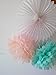 HEARTFEEL 6pcs 10 inch Tissue Paper Pom-poms Cream Mint Peach Outdoor Decoration Tissue Paper Pom Poms Party Balls Wedding Christmas Xmas Decoration