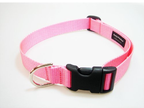 Large Pink Nylon Webbing Dog Collar: 1