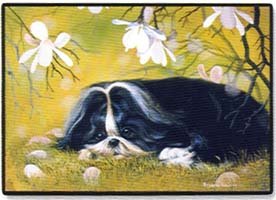 image link - - B0002EW9IK