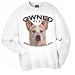 Australian Cattle Dog RED Owned By Adult Sweatshirt