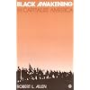 Black Awakening in Capitalist America: An Analytic History