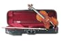 Hans Kroger Bavarian Viola, 15